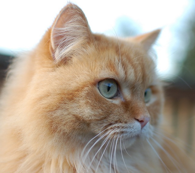 [DSC_5543%255B8%255D.jpg]