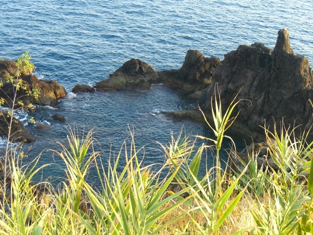 [Funchal320113.jpg]