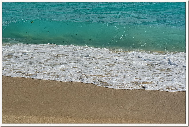 sea-public-domain-pictures-(881) sea-public-domain-pictures-(881)