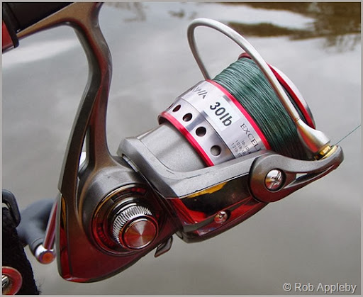 Review – Daiwa Exceler-X 3000 FS reel - Payne Outdoors