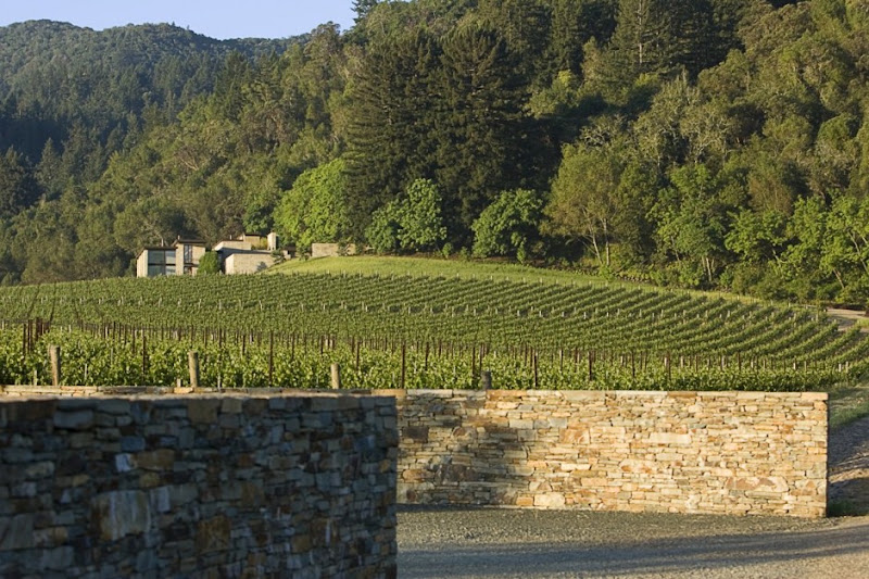 sonoma-vineyard-residence-by-aidlin-darling-01.jpg