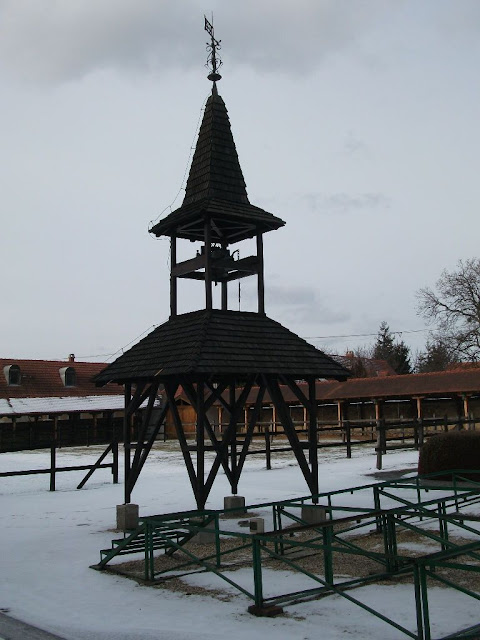 DSCF6495.JPG