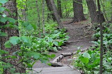 DSC_0170.JPG
