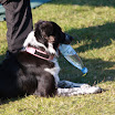 Billeder - Trænersamling 2011