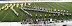 Marching Band and Drumcorps