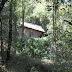Copia (2) de Molí 1.JPG