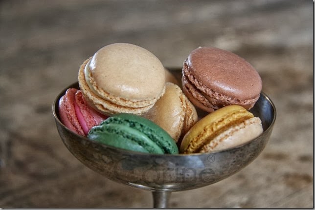 macaron macaron