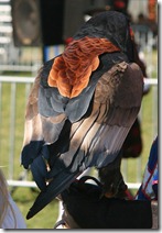 LVRenfair06