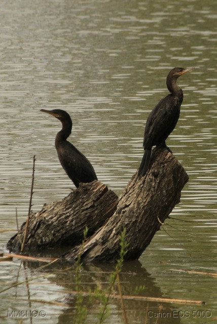 [IMG_9994%255B3%255D.jpg]