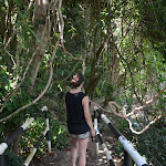 P1100259.JPG