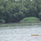 IMG_1348.JPG