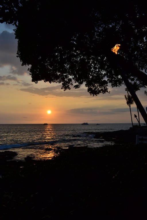 [DSC_0611-1%255B4%255D.jpg]