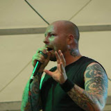&Eacute;lm&eacute;nyVOLT2008