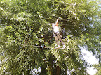 Zobacz park linowy