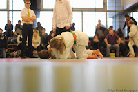 IMG_1185.jpg