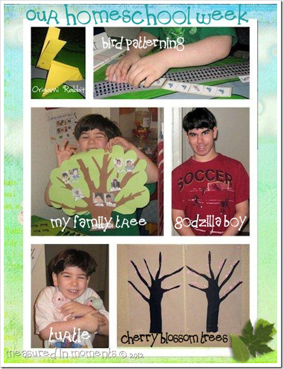 SCRAPBOOK PAGE homeschool week 2-3
