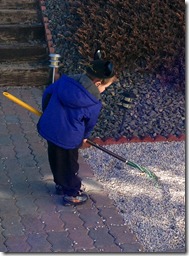 01 27 13 - Raking at Nana and Papa's with your ears on (2)
