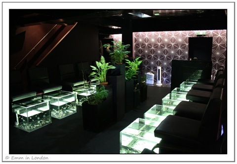 Fish Therapy At Aqua Sheko Soho Emm In London