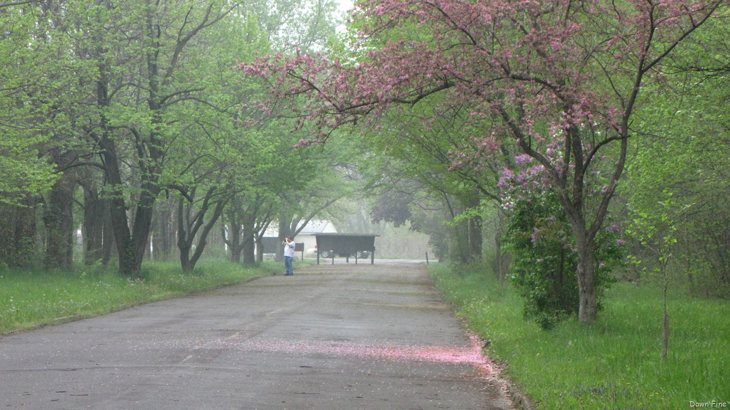[Biggest-week-sheldens-farm_026.jpg]