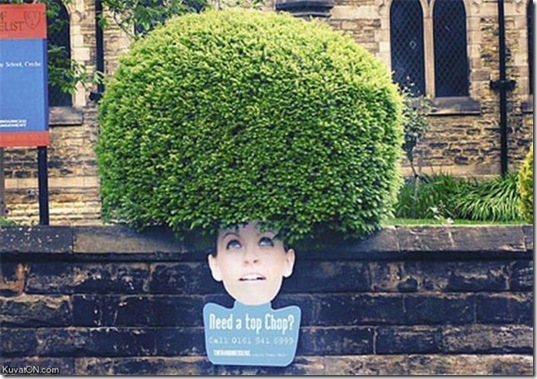 viral-picdump-pics-31