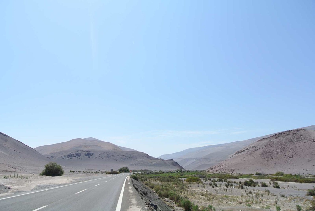 [DSC_74177.jpg]