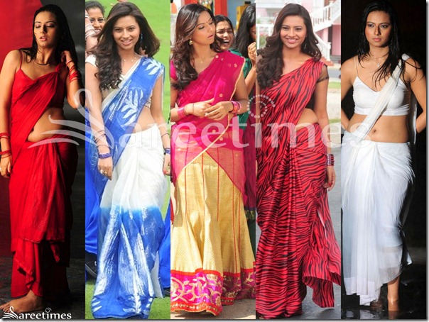 Isha_Chawla_Designer_Sarees(2)