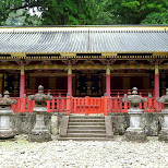 toshogu shrine in Nikko, Japan by Matt van Vuuren in Nikko, Totigi (Tochigi) , Japan