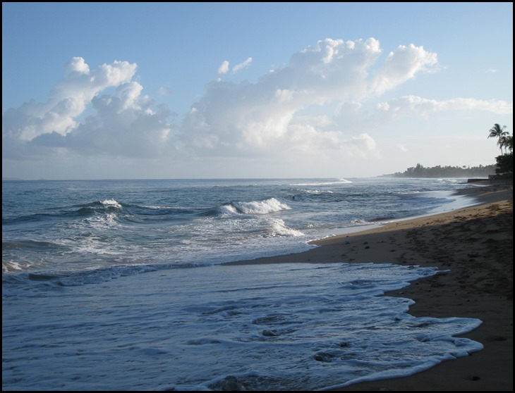 Kaanapali Shores-Beach 5-18-2013 (10)
