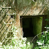 dsc06725.jpg