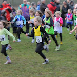 Veldloop Bornem