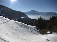 IMG_7701.jpg Photo