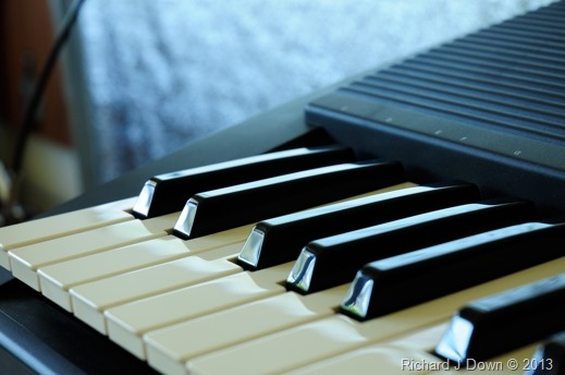 DSC_2985_web DSC_2985_web