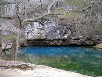 IMG_0704.JPG Photo