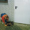 f11.jpg
