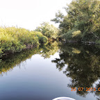 DSCN4470.JPG