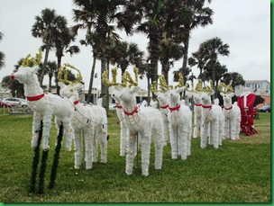 Farmers market and tree at Flagler 023