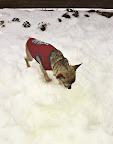 Let it Snow...