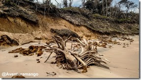Erosão na Praia de Malembá Erosão na Praia de Malembá