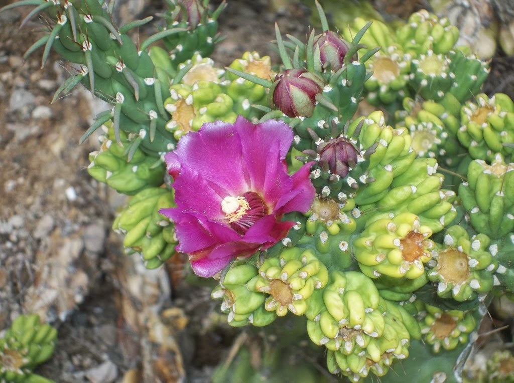 [100_1332%255B5%255D.jpg]