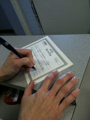 Another vet tech, Lisa Wenner, filled out my paperwork and explained that a microchip would be implanted under my skin between my shoulder blades. If I ever get lost, a vet can scan the microchip and find out who I am! Another vet tech, Lisa Wenner, filled out my paperwork and explained that a microchip would be implanted under my skin between my shoulder blades. If I ever get lost, a vet can scan the microchip and find out who I am!