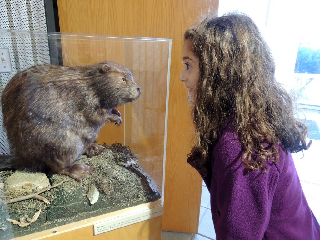 [DSCN0669%255B3%255D.jpg]