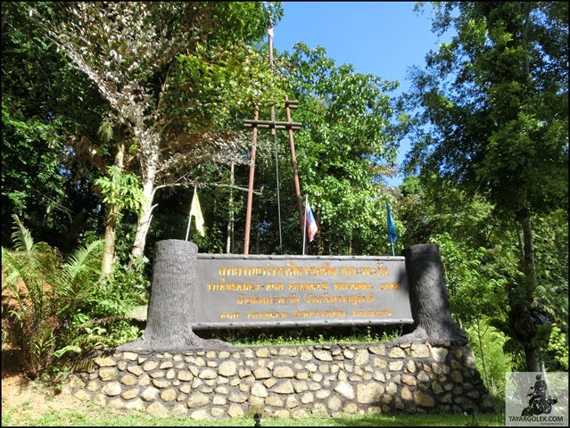 [CIMG12802.jpg]