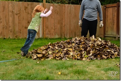 FallFun-9915
