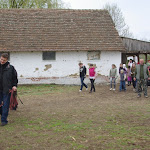 IMGP0278.JPG