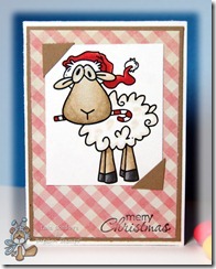 clip_image014 clip_image014