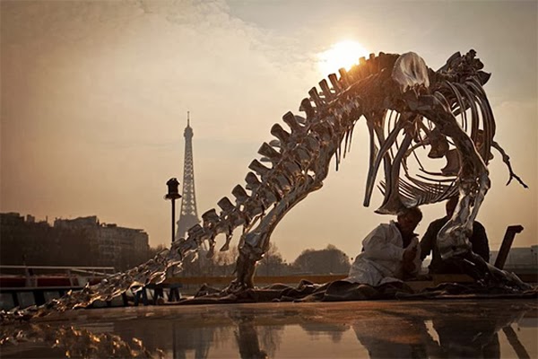 Chrome T-Rex скульптура на берегу Сены в Париже (10 фото)