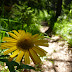 2011.07.10. - M&M na Dovški Babi