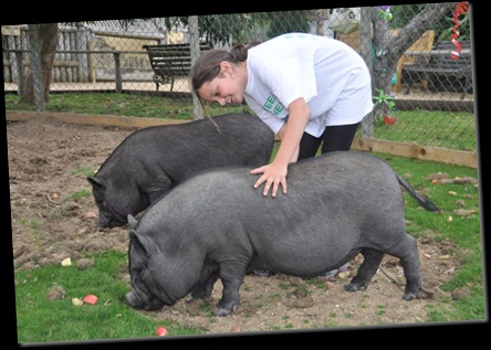 Mia with Alfie & Willis DSC_0877