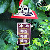20060819_22_kenting_104.jpg