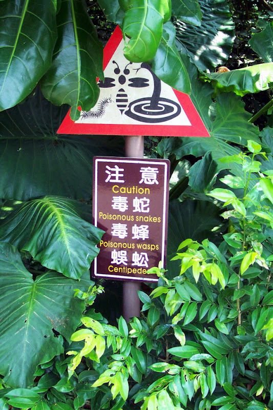 20060819_22_kenting_104.jpg